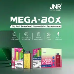 Mega Box vape with 25000 puffs, watermelon flavor.