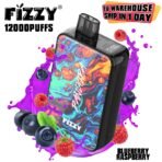Fizzy vape, blueberry raspberry flavor, 12000 puffs