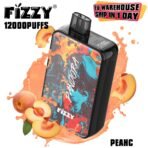 Fizzy vape 12000 puffs, peach flavor, colorful design.