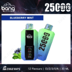 Blueberry mint vape, 2500 puffs, Bang disposable