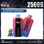Bang vape blueberry raspberry flavor, 2500 puffs.