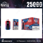 Bang Blueberry Raspberry disposable vape product packaging.