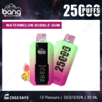 Watermelon bubble gum vape with 2500 puffs.