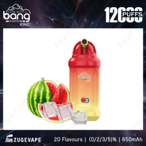 Watermelon Ice disposable vape with 1200 puffs.