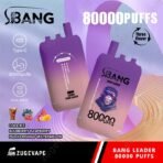 Bang Leader vape with 80000 puffs and flavors.