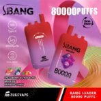Disposable vape with 80000 puffs, triple flavor option.