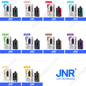 JNR MegaMax vape flavors variety