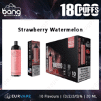 Strawberry Watermelon vape, 18000 puffs, ten-pack box.